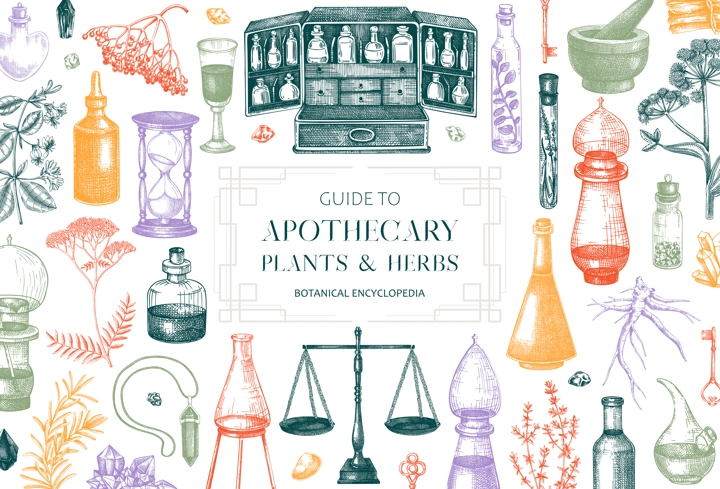 Antique apothecary background design. Herbal medicin hand-drawn vector illustrations. Alchemy sketches in color. Vintage chemistry banner. NOT AI generated